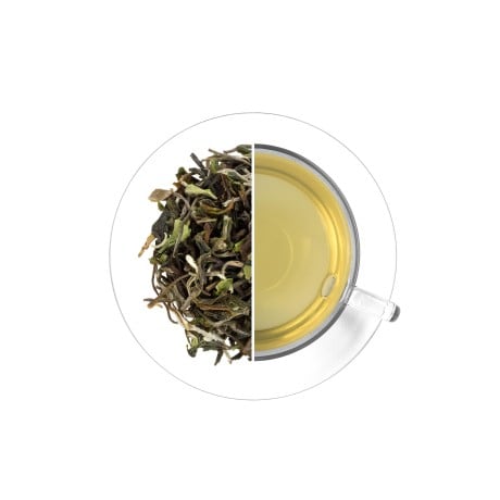 India Darjeeling North Tukvar SFTGFOP1 - čerstvá sklizeň, 50 g