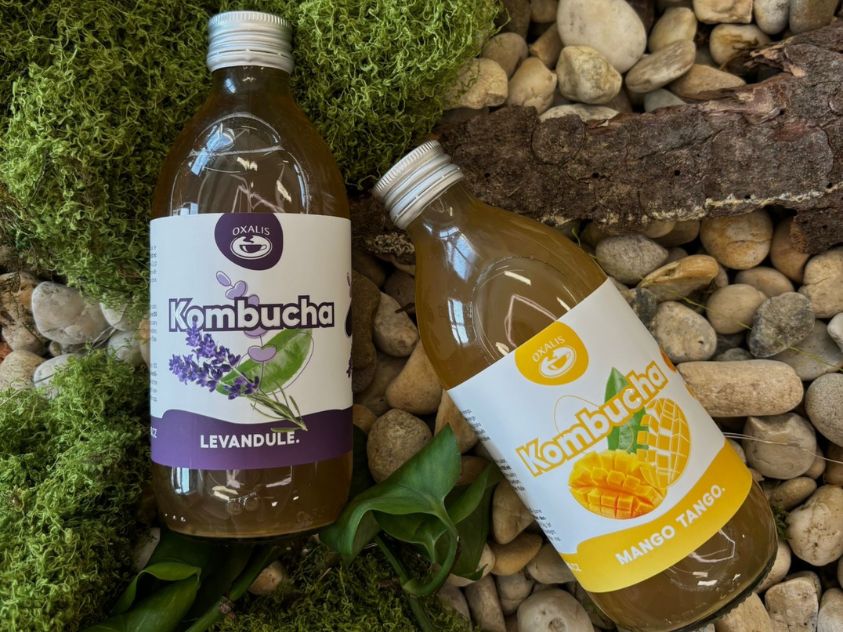 Kombucha je nově na e-shopu!
