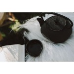 Litinová konvice - Meitan, 1,1 l