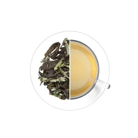 Malawi Green Mint, 500 g