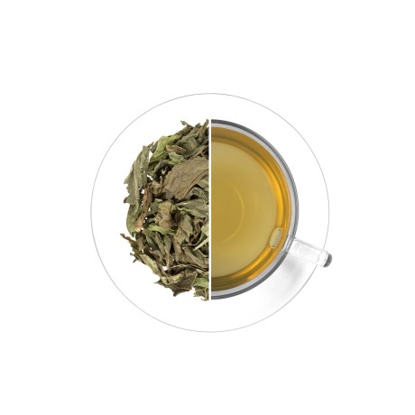 Nana - máta (list), 250 g