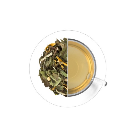 Ledový čaj Citrus - zázvor, 50 g