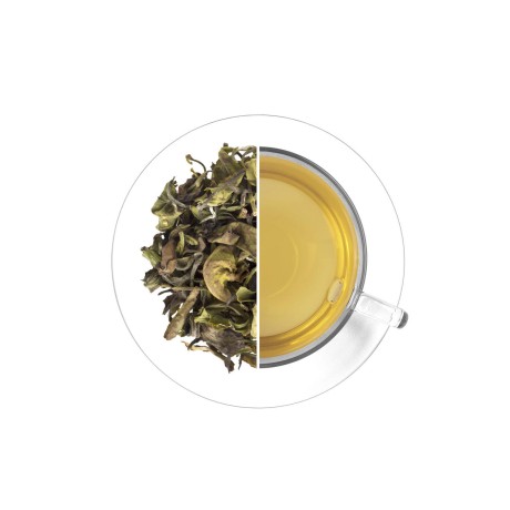 Tea Studio Nilgiri Peony, 30 g