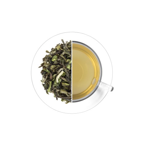 India Darjeeling Seeyok FTGFOP1 Spring Wonder - čerstvá sklizeň 2025, 50 g