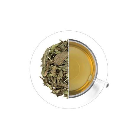 Nana - máta (list), 30 g