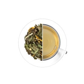 Ledový čaj Citrus - zázvor, 1 kg