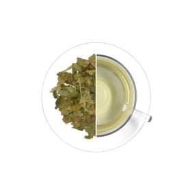 Ginkgo biloba, 500 g