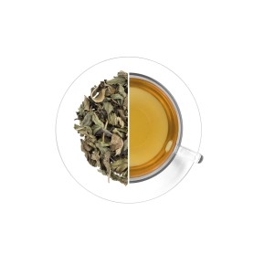 Antigrip, 500 g