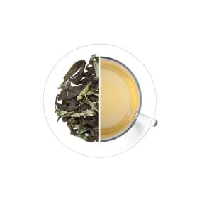 Malawi Green Mint, 30 g