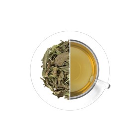 Nana - máta (list), 30 g