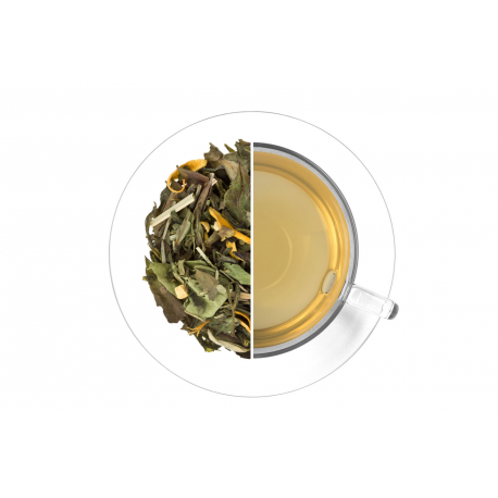 Levně Oxalis Ledový čaj Citrus - zázvor 50g
