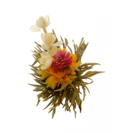 Man Tian Xian Tao Posvátné květy 1 ks (kvetoucí čaj)