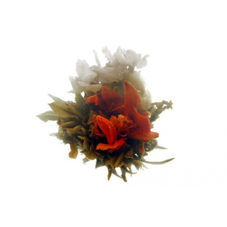 Levně Oxalis He Jia Huan Le Rodinné štěstí 1 ks (kvetoucí čaj)
