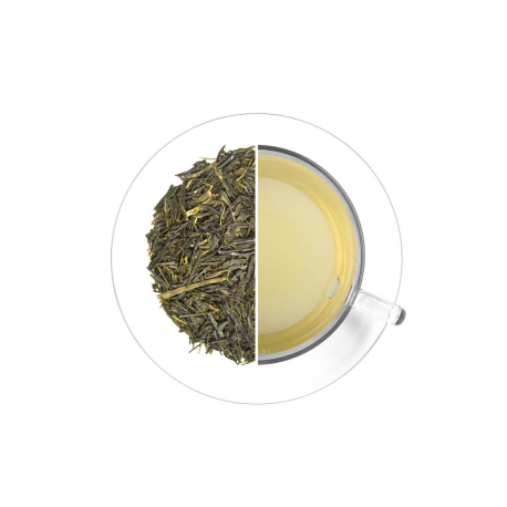 Levně Oxalis Sencha Natsu 70 g, zelený čaj