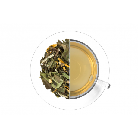 Citrus & Ginger Iced Tea