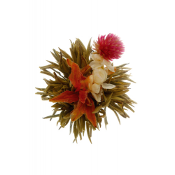 Bai He Xian Zi Divine Lily