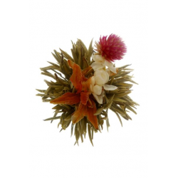 Bai He Xian Zi Divine Lily - 1pcs