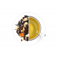 Orange & Mango Oolong
