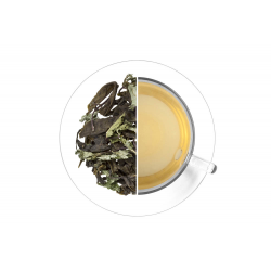 Malawi Green Mint 1 kg