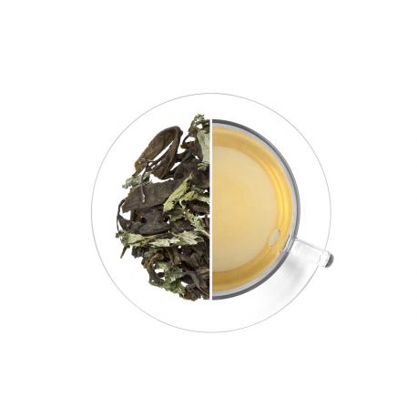 Malawi Green Mint 1 kg
