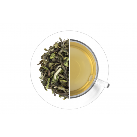 India Darjeeling Seeyok FTGFOP1 Spring Wonder