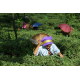 India Darjeeling Snowview FTGFOP1 Spring Queen - čerstvá sklizeň 2025, 50 g