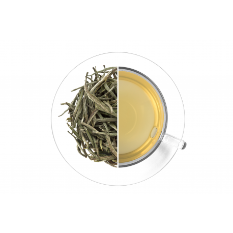 Tea Studio Nilgiri Platinum Needle - Salon de Thé