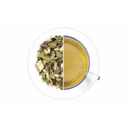 Ľadový čaj Rooibos Hugo Bezinka 70 g