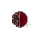 Blueberry 80 g