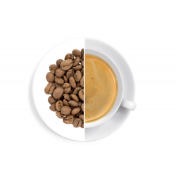 Costa Rica Palmichal Black Honey