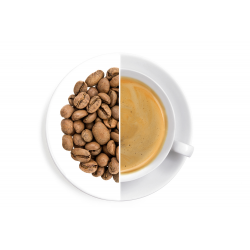 Costa Rica Palmichal Black Honey