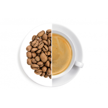 Costa Rica Palmichal Black Honey 60 g - káva